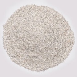 White coated grass seeds