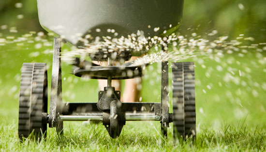 Grass seeder