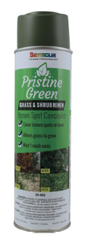 Pristine Green Grass and Shrub Renew