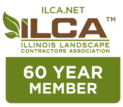 ILCA Member